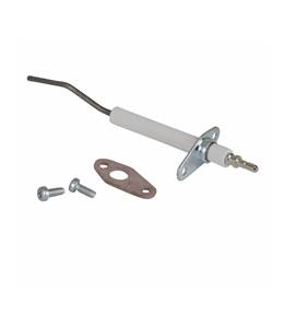 Groupe electrode de detection