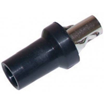 COSSES RAJAH  ISOLEES (12 PIECES)