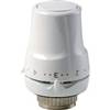 TETE THERMOSTATIQUE