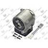 MOTEUR POMPE 30 W- Remplacer par 0010034152 + 0010030686 + 0010026674